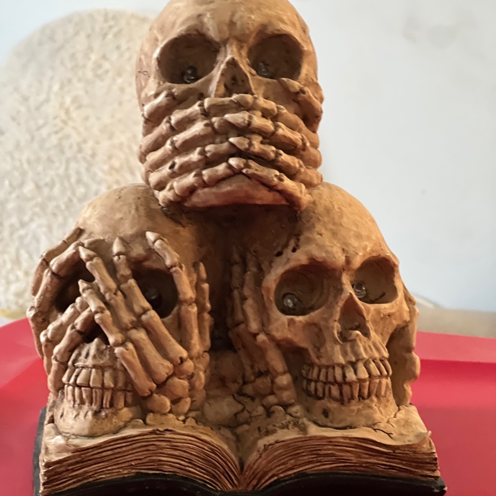 Skull decor with lights
